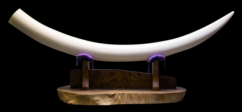 獅暁会・象牙彫刻美術館